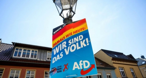 Une affiche électorale du parti d'extrême droite AfD, le 28 août 2019 à Zehdenick, dans le Land allemand de Brandebourg.