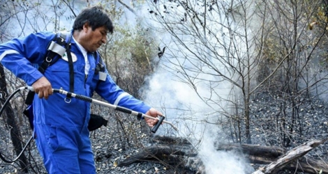 Le président bolivien Evo Morales participe à l'extinction d'un incendie de forêt dans l'est du pays, le 28 août 2019.
