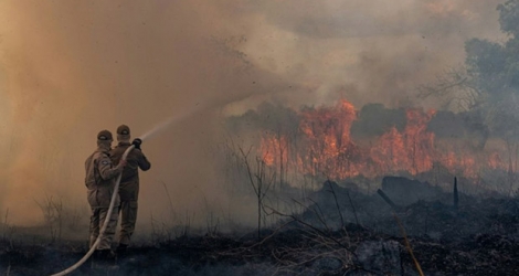 Les pompiers luttent contre un incendie à Sorriso, dans l'Etat brésilien du Mato Grosso, le 26 août 2019.
