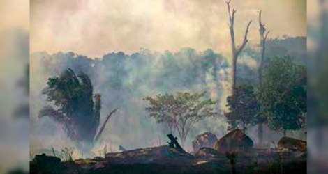 La forêt amazonienne, plus grande forêt au monde, est en feu depuis plusieurs semaines.