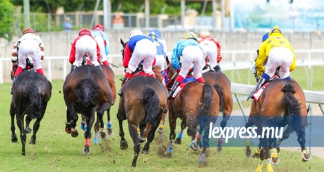 Les chevaux pourraient courir au Champ-de-Mars le 7 décembre.