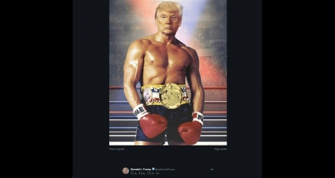 Image du photomontage tweeté par le président américain Donald Trump sur son compte @realDonaldTrump, dans une référence à «Rocky», le 27 novembre 2019.