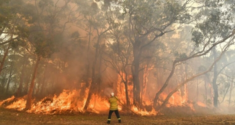 Un pompier luttant contre les incendies au nord de Sydney, le 10 décembre 2019.