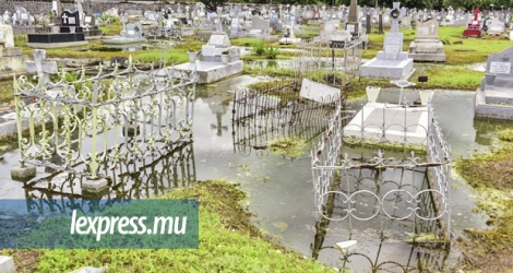 Une trentaine de sections du cimetière Gébert, à Port-Louis, sont encore inondées suite aux récentes averses, jeudi 9 janvier.