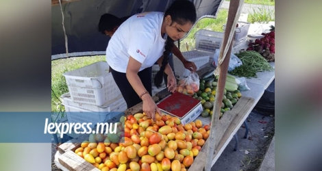 Renousha Busawah a acheté ses pommes d’amour alors qu’elles n’étaient pas encore mûres.