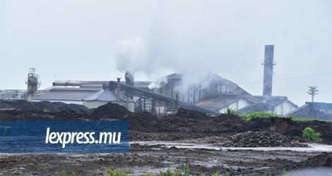 Le groupe Alteo envisage de produire de l’électricité à partir d’autres sources que celles de la bagasse et du charbon.