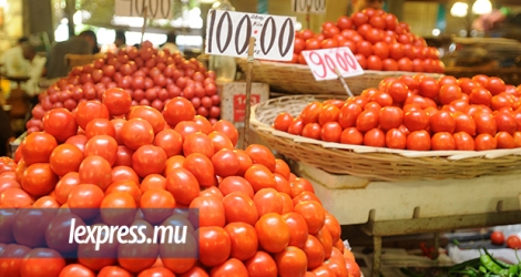 Une grande partie de tomates sur le marché est fournie par l’agriculture protégée notamment l’hydroponique.
