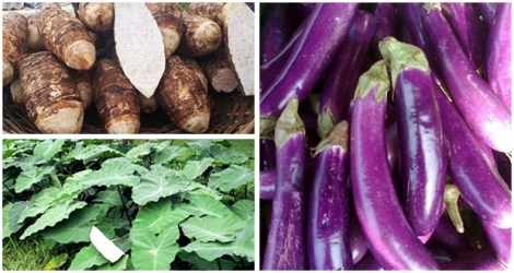 Des légumes volés vendus directement aux consommateurs pourraient contenir des traces de pesticides.