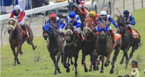  Il n’y aura pas de public pour regarder les chevaux courir, samedi 20 juin, au Champ-de-Mars. crédit Yahia Nazroo