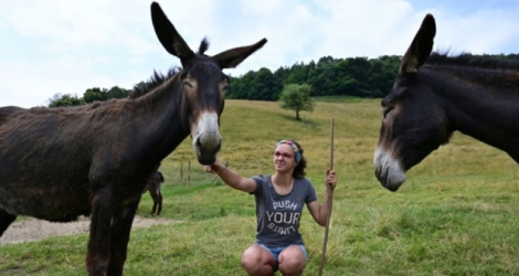 Vanessa Peduzzi avec deux de ses ânes à Alpe Bedolo, sur la commune de Schignano, le 25 juin 2020 en Lombardie Photo Miguel MEDINA. AFP