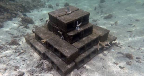 Un habitat artificiel pour les poissons, qui servira aussi comme barrière de corail dans quelques années, a été fabriqué par le groupe de jeunes Souillaquois.