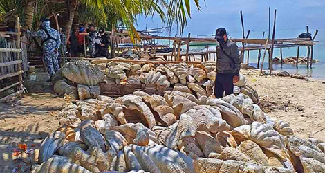 Quelque 200 tonnes de coquillages géants, des espèces menacées recherchées par les braconneurs, ont été saisies le 16 avril 2021 dans la région de Palawan, aux Philippines. Photo diffusée le 17 avril par le service des garde-côtes. ©Handout, AFP