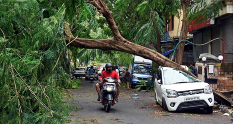 Un arbre tombé sur une voiture dans une rue de Bombay après le passage du cyclone Tauktae, le 18 mai 2021. en Inde afp.com - Sujit JAISWAL