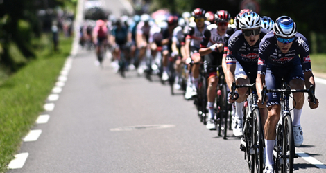 Le peloton dans la 19e étape du Tour de France entre Mourenx et Libourne le 16 juillet 2021.
