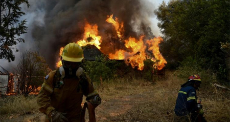 Des pompiers luttent contre un incendie à Labiri, près de Patras, en Grèce, le 31 juillet 20210.