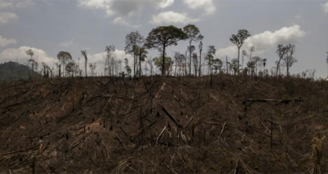 Des terres brûlées près de la ville de Sao Felix do Xingu, au Brésil, le 20 septembre 2021.