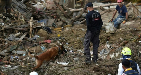 Un chien de sauvetage recherche des victimes après un glissement de terrain à Pereira (Colombie), le 8 février 2022. afp.com - Luis ROBAYO.