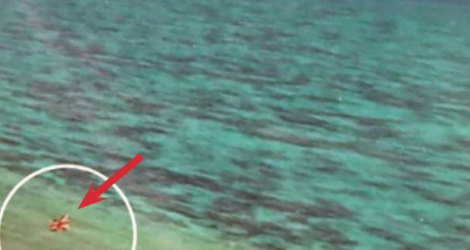 En 1982, le représentant militaire à Diego Garcia a planté un drapeau britannique sur le récif de Blenheim. Ce qui a horrifié le Foreign Office, qui a rétorqué que cette action était non autorisée.