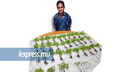 Iswaraj Madoo, âgé de 32 ans est, semble-t-il, très investi dans la… reforestation.