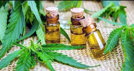 Des fioles d’huile de cannabis ont récemment été saisies par les autorités alors que bon nombre de Mauriciens y ont recours pour traiter de lourdes maladies et leurs effets secondaires.