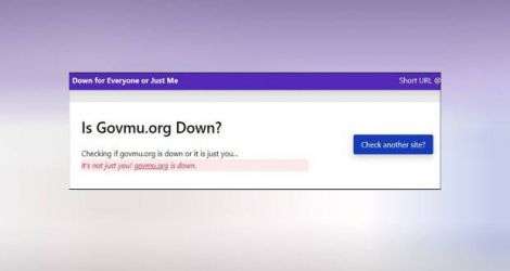 Le site web downforeveryoneorjustme.com a signalé que le portail du gouvernement était «down»
