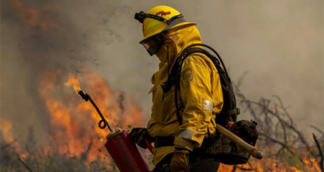 Un pompier allume un contrefeu pour stopper l'avancée de l'incendie Oak Fire, près de Mariposa (Californie), le 24 juillet 2022.