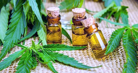 L’importation du cannabis médical se fera avec une autorisation du ministère de la Santé.
