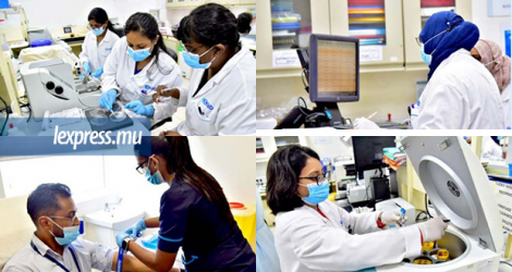 Des techniciens utilisent divers appareils de pointe pour effectuer des analyses médicales au C-Lab.