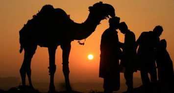 Pakistan : Des hommes et leur chameau aperçus au soleil couchant alors qu’ils attendent des voyageurs. 