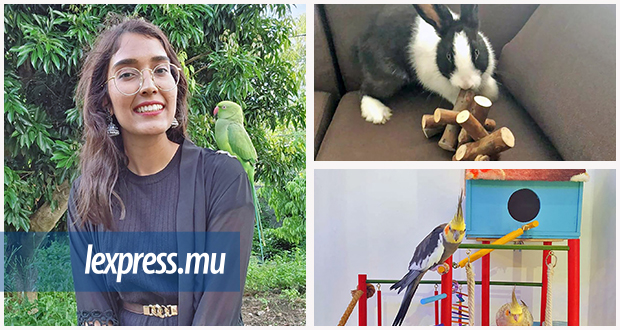 Nabeelah Maudarbocus fabrique des jouets pour oiseaux, hamsters, chats et lapins et fait aussi des cages pour oiseaux et des colliers pour chiens.
