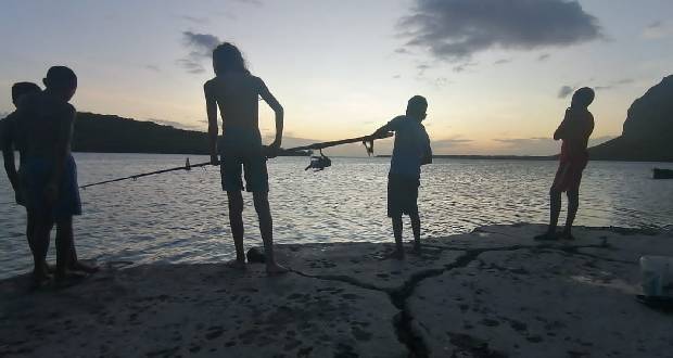 «Save the Blu»: un plan d’action ambitieux pour protéger la faune et la flore