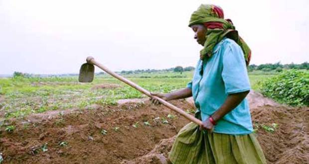 Sept thèmes au cœur des nouvelles priorités africaines