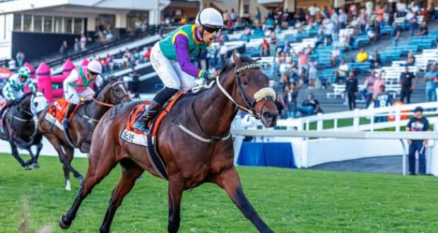 Selukwe: Le fer de lance de PFK