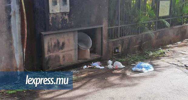 Festin pour chiens errants, nuisance pour l’environnement