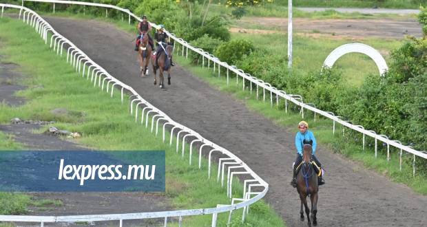Réouverture du trotting track: here we go!