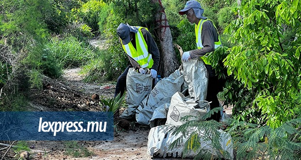 Visit to Île-aux-Bénitiers: Paul Bérenger: 'Cleaning is progressing, but there's still a long way to go'