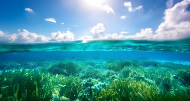 Vers un cadre légal modernisé pour la protection des zones écologiquement sensibles