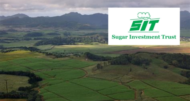 Le Sugar Investment Trust relance ses projets et reprend du terrain