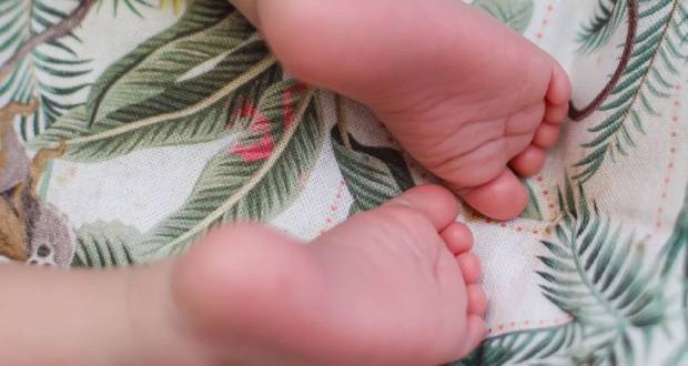 Première naissance d’un bébé après une greffe d’utérus
