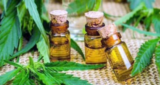 Cannabis médical : un projet en fumée ?