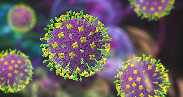 Présence locale du virus Nipah : Les autorités démentent les rumeurs            