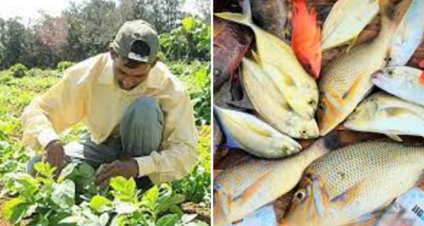 Les cultures vivrières et la pêche en croissance, le sucre et le thé en recul