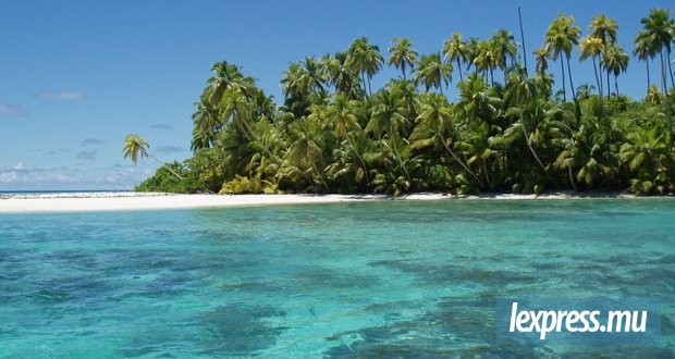 Des captures de poissons 25 fois supérieures aux statistiques officielles