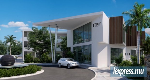 Des cours d’été gratuits du 10 novembre au 18 décembre pour les +16 ans