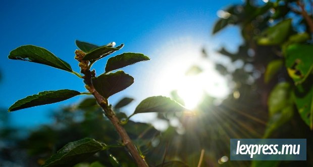 Beau temps au programme, prudence en haute mer