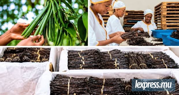 Malagasy Vanilla : trois générations au service de la vanille malgache