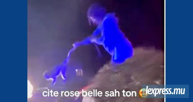 Un macaque brutalisé lors d’une fête de rue, une plainte déposée