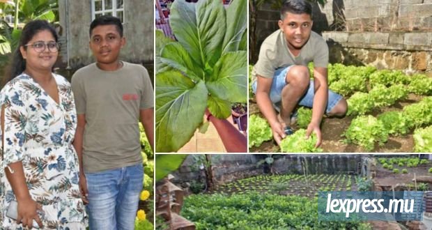 Se mettre au jardinage : Dans le jardin du roi