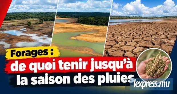 Forages : de quoi tenir jusqu’à la saison des pluies