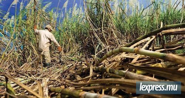 Les syndicats agricoles s’inquiètent de la protection des droits des travailleurs